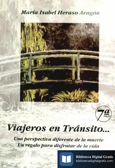 Descargar Viajeros En Tránsito de Óscar Franco