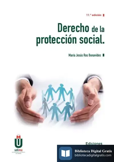 Descargar Derecho De La Proteccion Social de María Jesús Ros Benavides