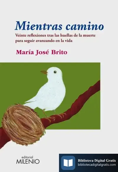 Descargar Mientras Camino de María José Brito