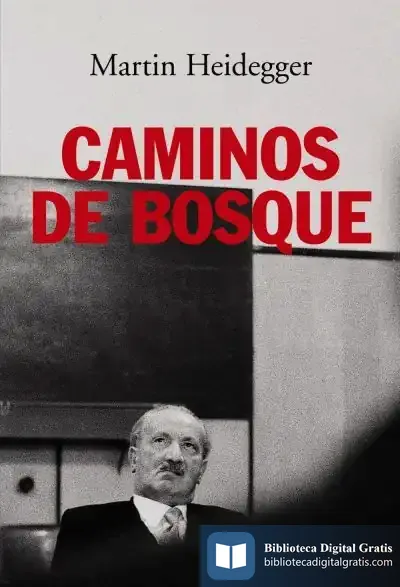 Descargar Caminos De Bosque