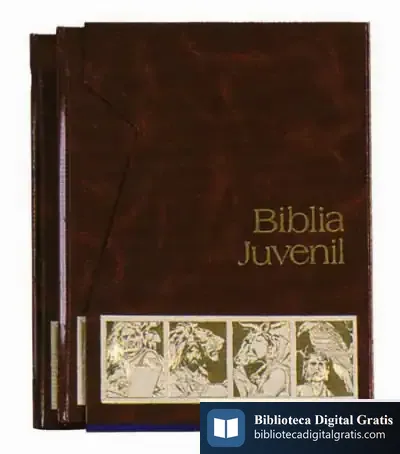 Descargar Biblia Juvenil 2 Tomos Mod. 5 de Philippe Campignion