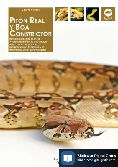 Descargar Pitón Real Y Boa Constrictor de Francisco Salvador Mata