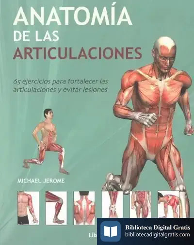 Descargar Anatomía De Las Articulaciones