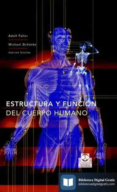 Descargar Estructura Y Función Del Cuerpo Humano (Color) de Fernando Lalana