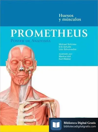 Descargar Prometheus. Póster De Anatomía