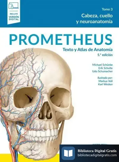 Descargar Prometheus:Texto Y Atlas Anato.5Aed.T3+E de Michael Schünke