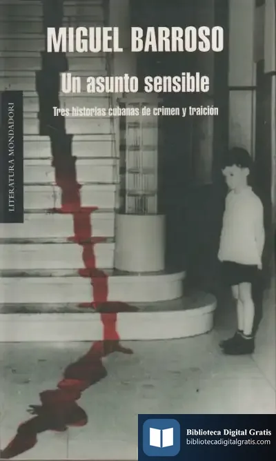 Descargar Un Asunto Sensible
