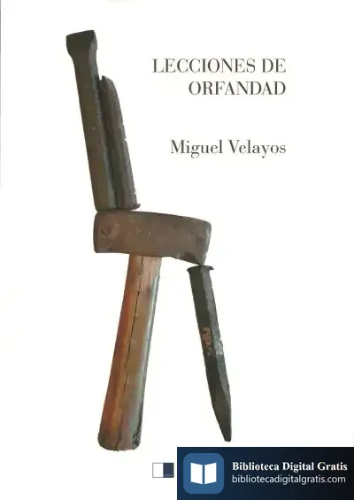 Descargar Lecciones De Orfandad de Miguel Velayos