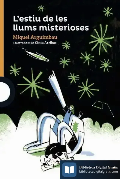 Descargar L'Estiu De Les Llums Misterioses