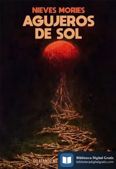 Descargar Agujeros De Sol de Nieves Mories