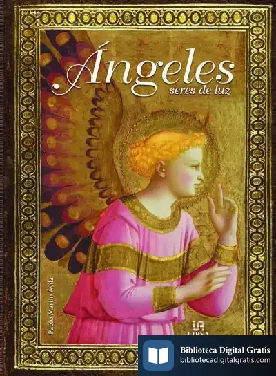 Descargar Angeles Seres De Luz de Pablo Martín Ávila