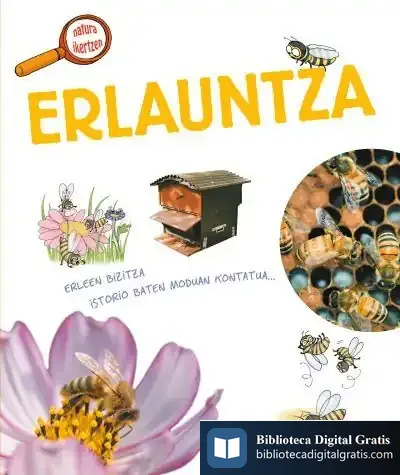 Descargar Erlauntza