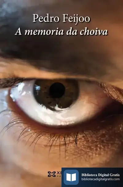 Descargar A Memoria Da Choiva de Pedro Feijoo Barreiro