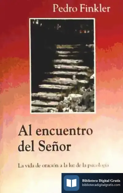 Descargar Al Encuentro Del Señor de Damien Toll