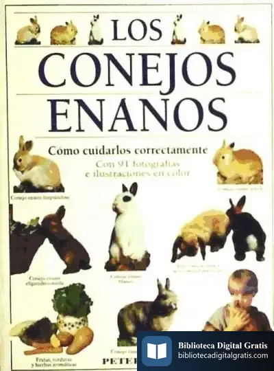 Descargar Los Conejos Enanos