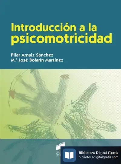 Descargar Introducción A La Psicomotricidad