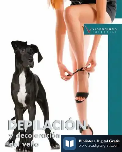 Descargar Iniciación Al Maquillaje