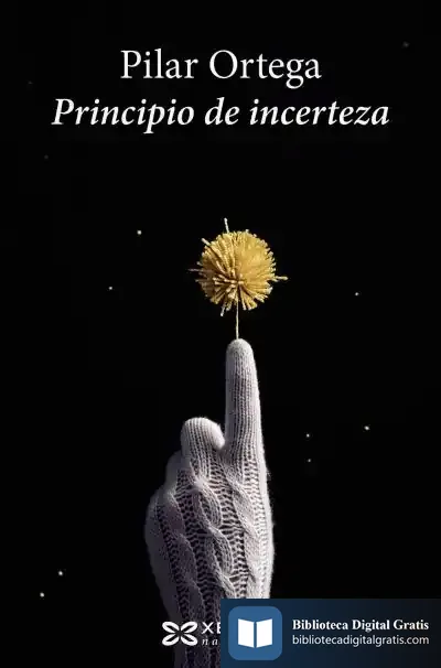 Descargar Principio De Incerteza
