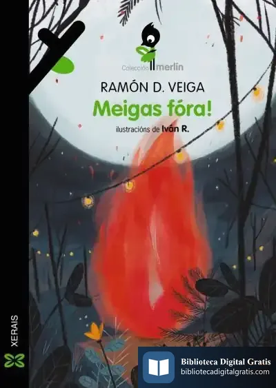 Descargar Meigas Fóra! de Ramón D. Veiga