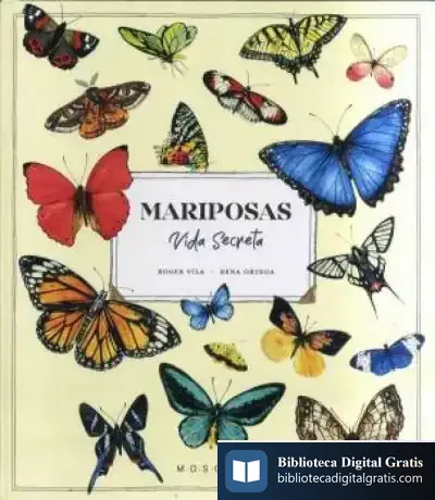 Descargar Mariposas. Vida Secreta