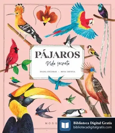 Descargar Pájaros. Vida Secreta