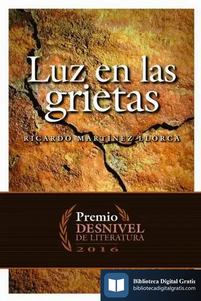 Descargar Luz En Las Grietas de Ricardo Martínez Llorca