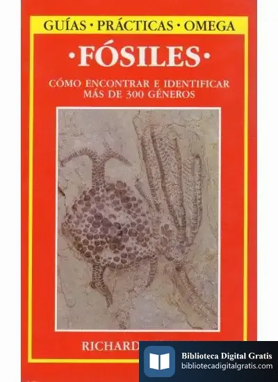 Descargar Fosiles de Antoine Compagnon