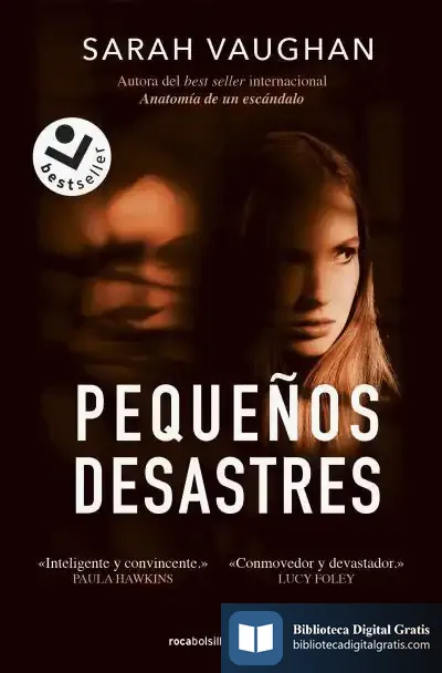 Descargar Pequeños Desastres