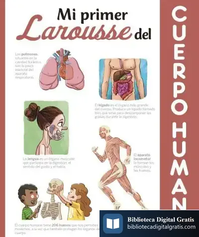 Descargar Mi Primer Larousse Del Cuerpo Humano de Saúl M. Irigaray