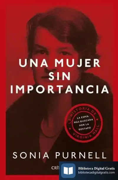 Descargar Una Mujer Sin Importancia