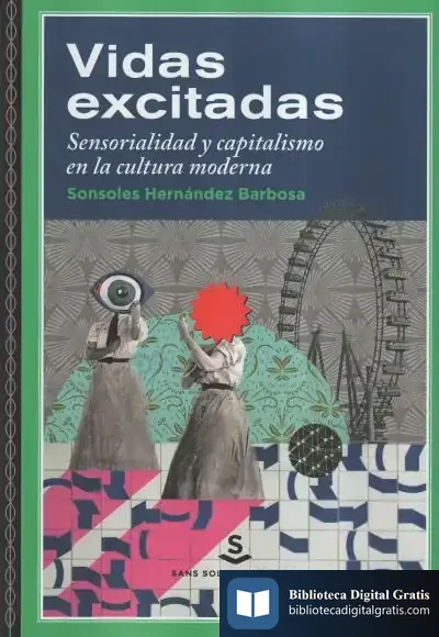 Descargar Vidas Excitadas de Sonsoles Hernández Barbosa