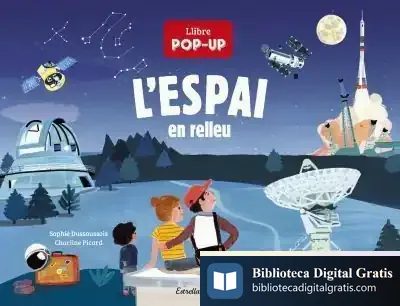 Descargar L'Espai En Relleu de Sophie Dussaussois