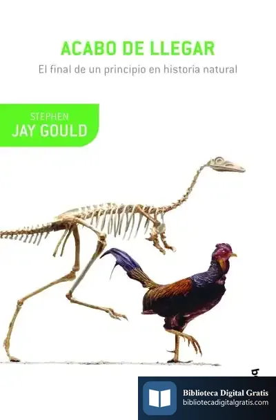 Descargar Acabo De Llegar