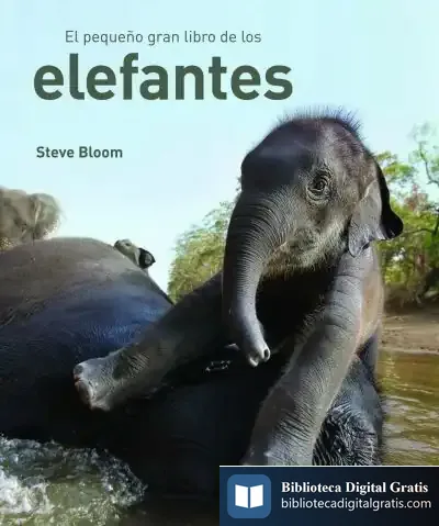 Descargar El Pequeño Gran Libro De Los Elefantes de Anónimo