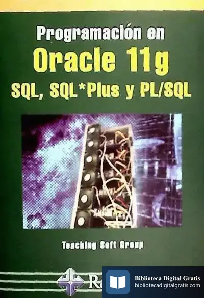 Descargar Programación En Oracle 11G Sql, Sql*Plus Y Pl/Sql