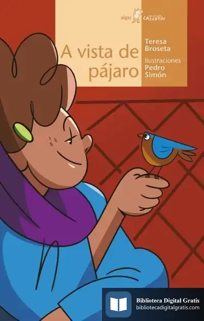 Descargar A Vista De Pájaro