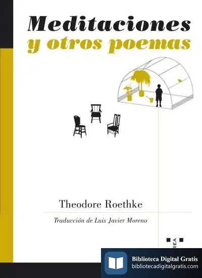 Descargar Meditaciones Y Otros Poemas de María Novo