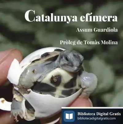 Descargar Catalunya Efímera de Tomàs Molina I Bosch