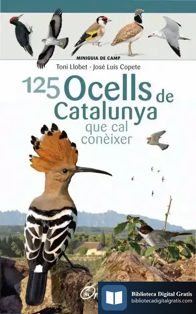 Descargar 125 Ocells De Catalunya . Que Cal Conèixer