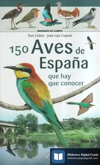 Descargar 150 Aves De España: Que Hay Que Conocer