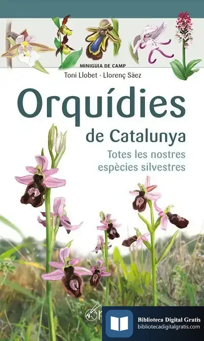 Descargar Orquídies De Catalunya