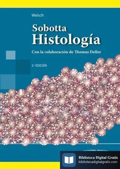 Descargar Sobotta. Histología