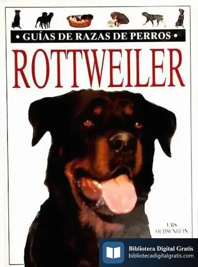 Descargar El Rottweiler de Julio Cabero Almenara