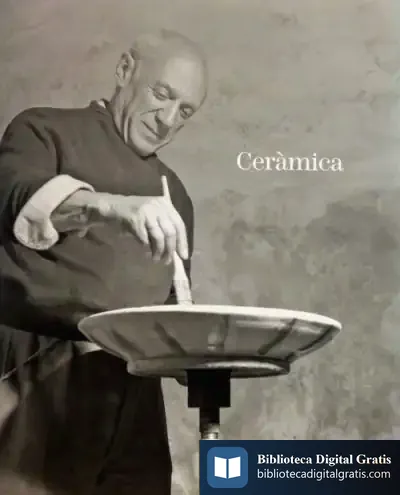 Descargar La Col.Lecció Del Museu Picasso