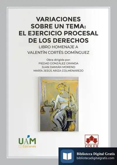 Descargar Variaciones Sobre Un Tema: El Ejercicio Procesal De Los Derechos: Libro Homenaje A Valentín Cortés
