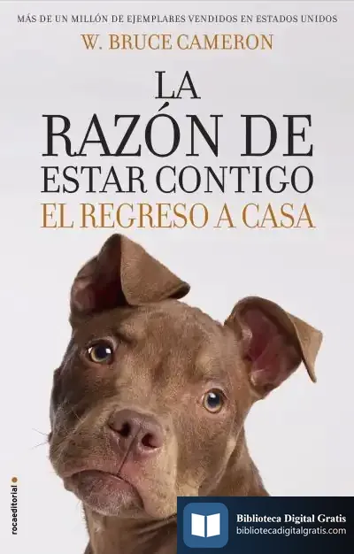 Descargar La Razón De Estar Contigo. El Regreso A Casa