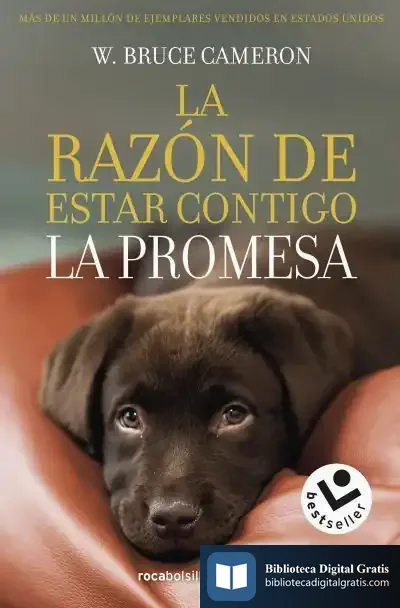 Descargar La Razón De Estar Contigo. La Promesa