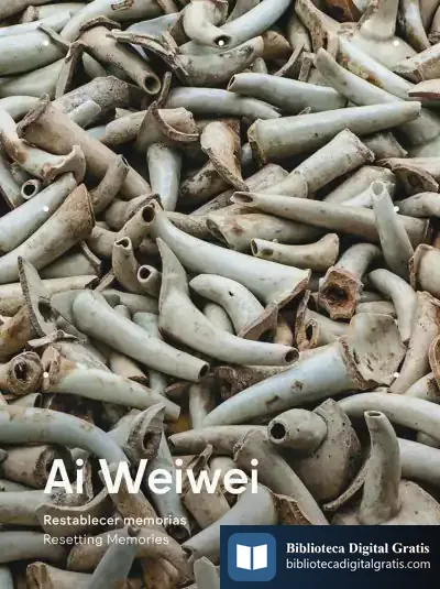 Descargar Ai Weiwei: Restablecer Memorias / Resetting Memories de Weiwei Ai