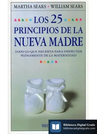 Descargar Los 25 Principios De La Nueva Madre