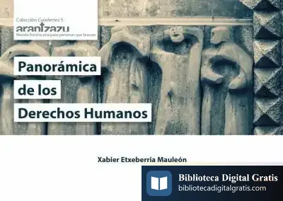 Descargar Panorámica De Los Derechos Humanos